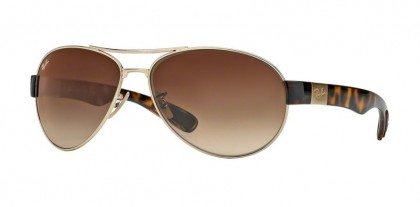 Ray-Ban 0RB3509 N/A 001/13 Arista - Brown Gradient